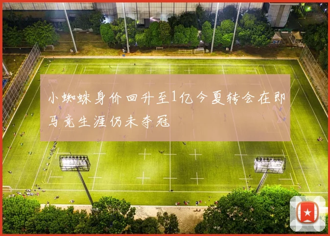 小蜘蛛身价回升至1亿今夏转会在即马竞生涯仍未夺冠